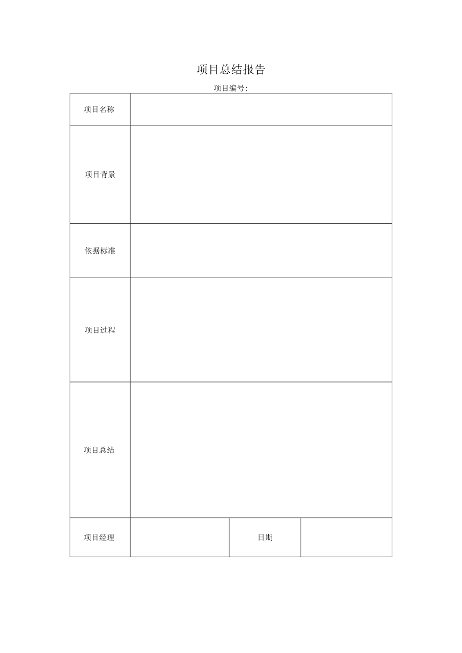 项目总结报告.docx_第1页