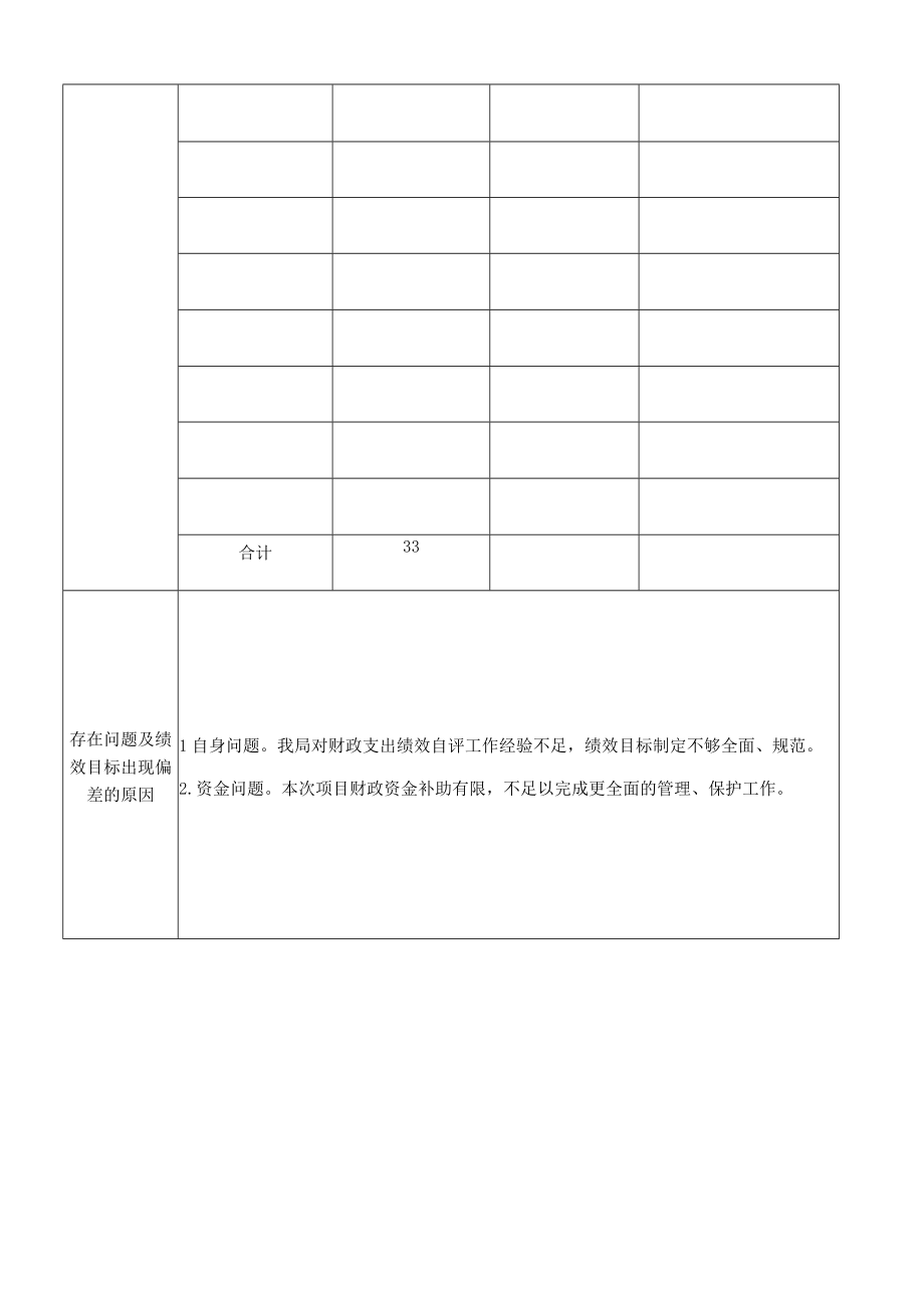 项目专项支出绩效运行跟踪监控管理表.docx_第3页