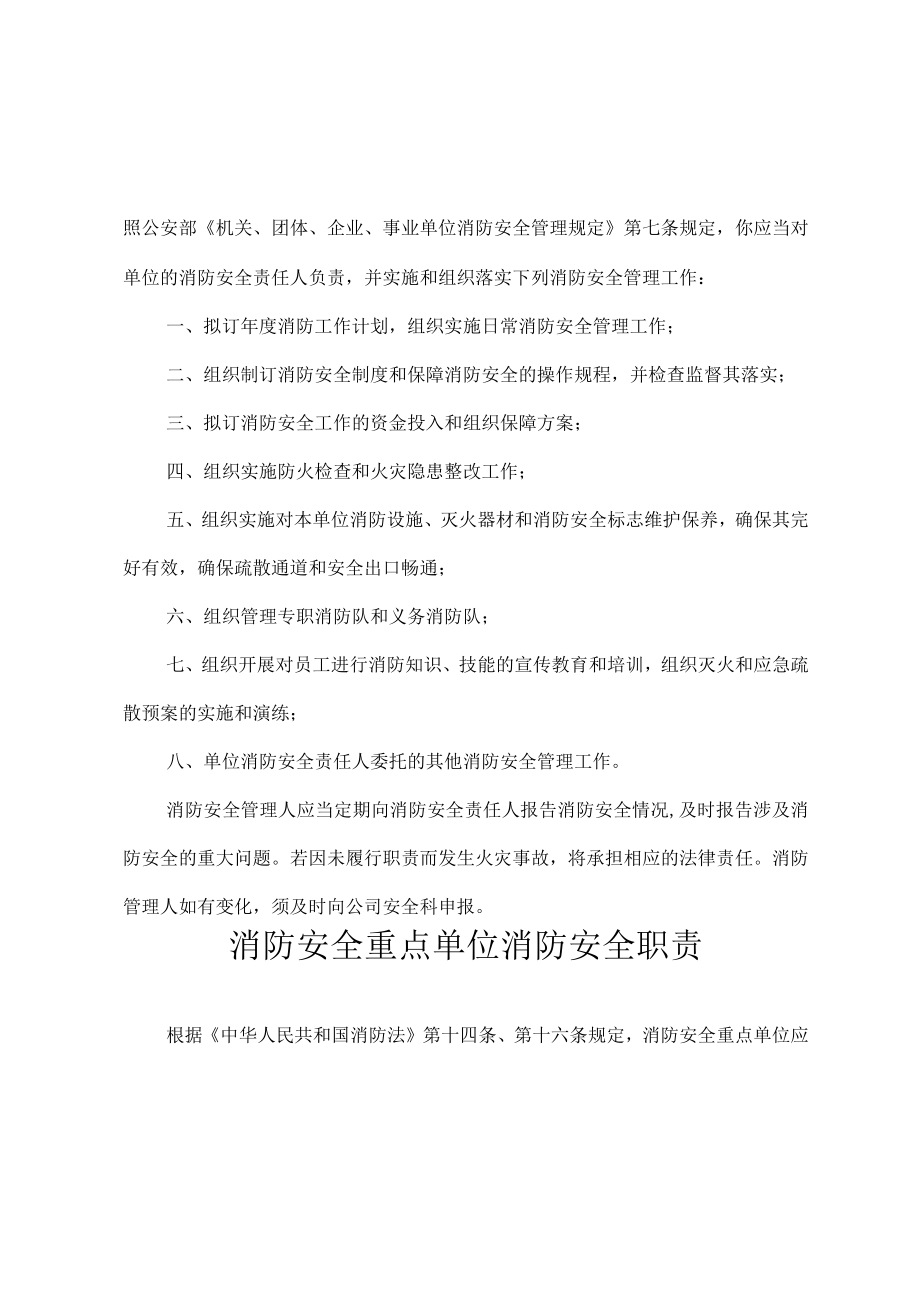 消防安全责任人消防安全责任告知书(1).docx_第2页