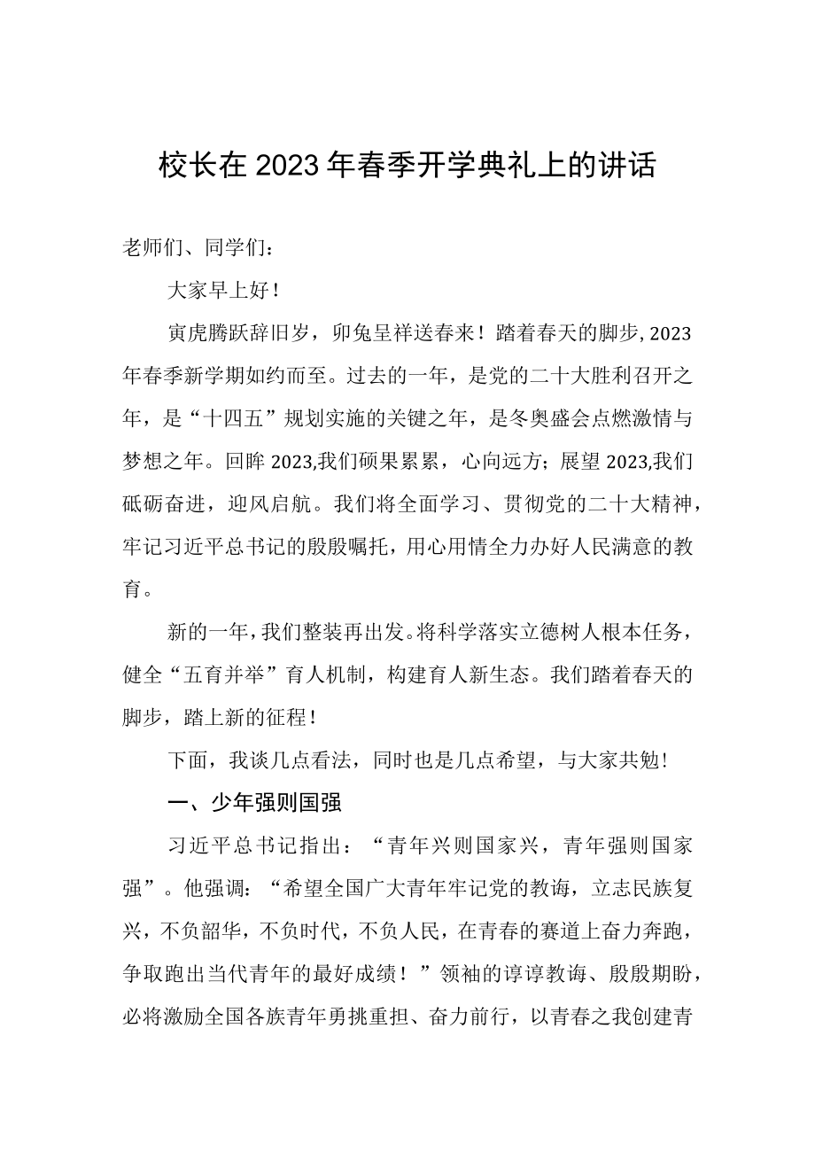 校长在2023年春季开学典礼上的讲话.docx_第1页