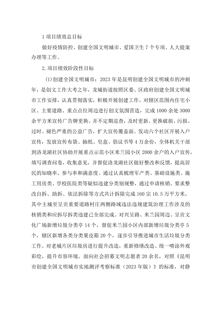 龙城街道部委办局与财政联合发文项目支出绩效评价报告.docx_第2页