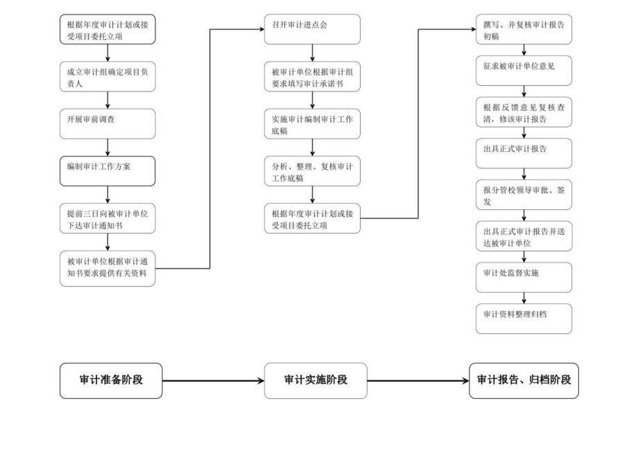 财务收支审计流程.docx_第2页