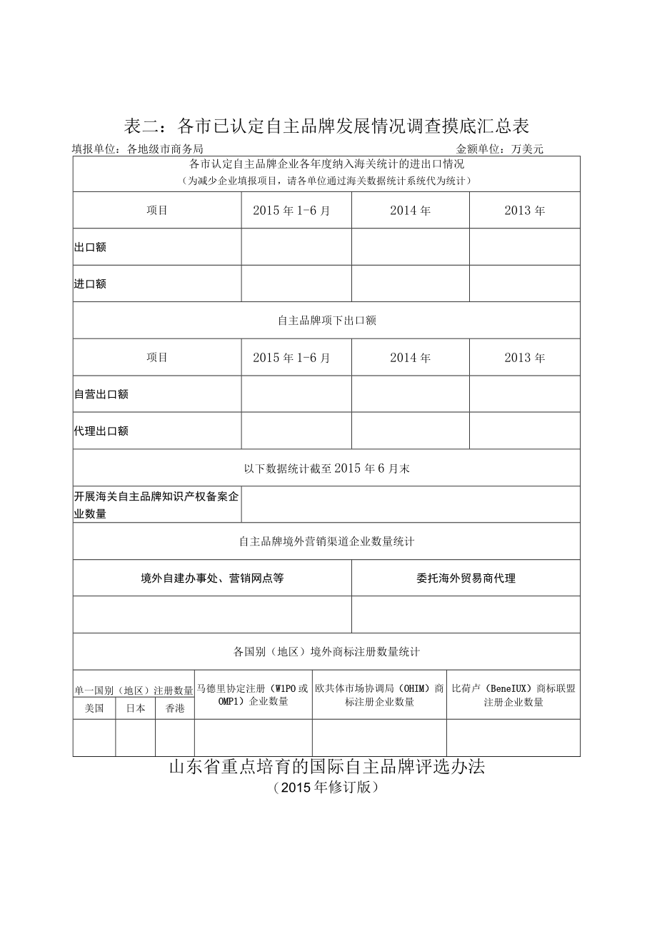 表一已认定自主品牌发展情况调查摸底明细汇总表.docx_第2页