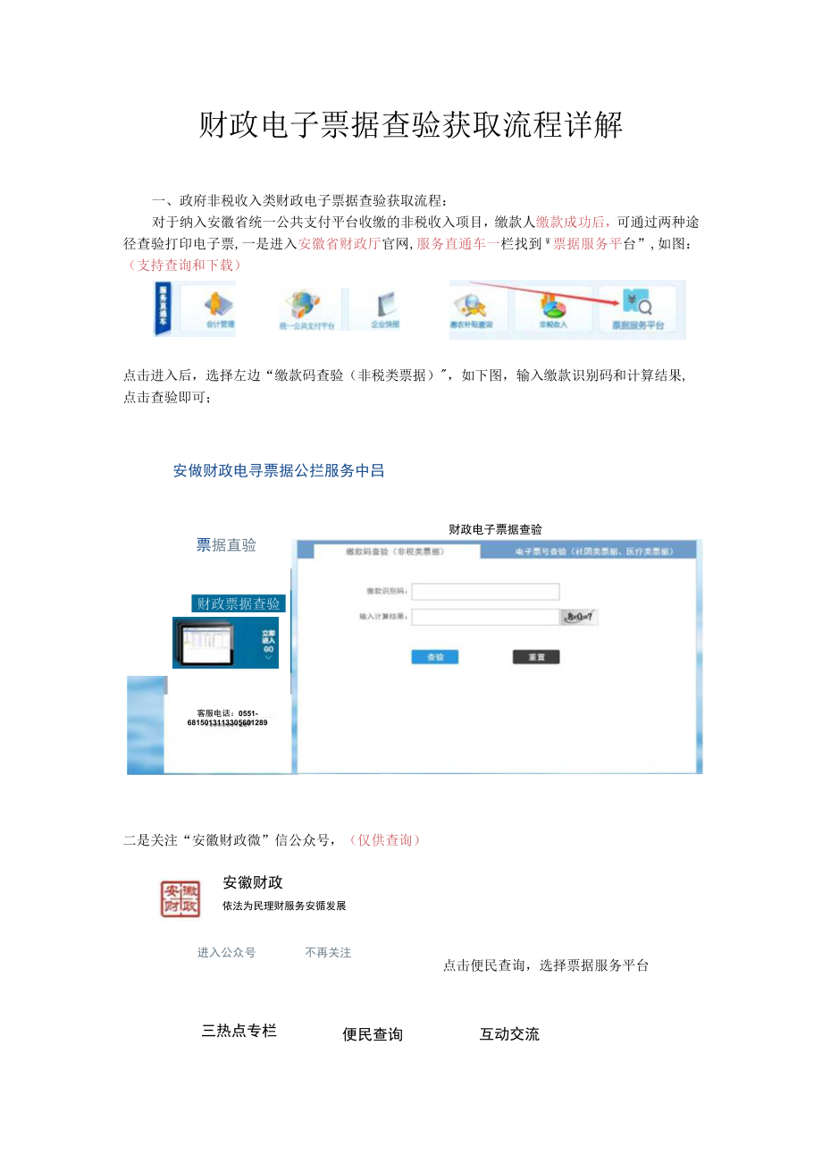 财政电子票据查验获取流程详解.docx_第1页