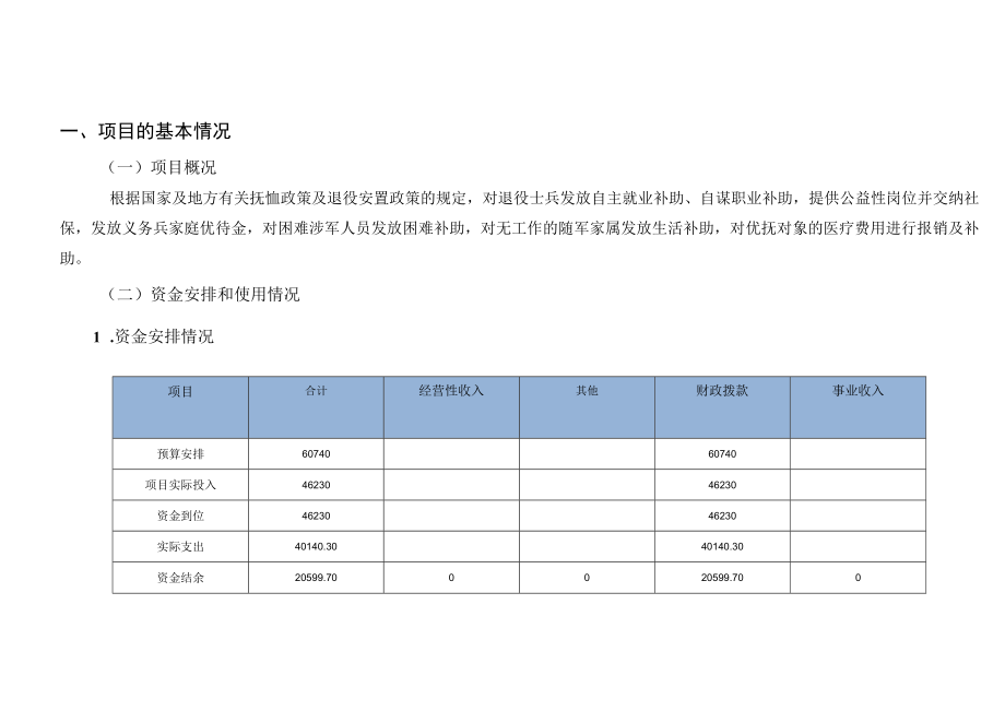 财政项目支出绩效自评价报告.docx_第3页