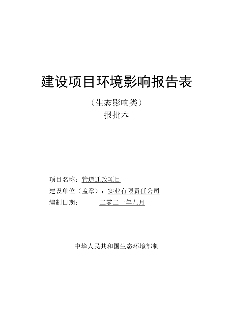 管道迁改项目环评报告.docx_第1页