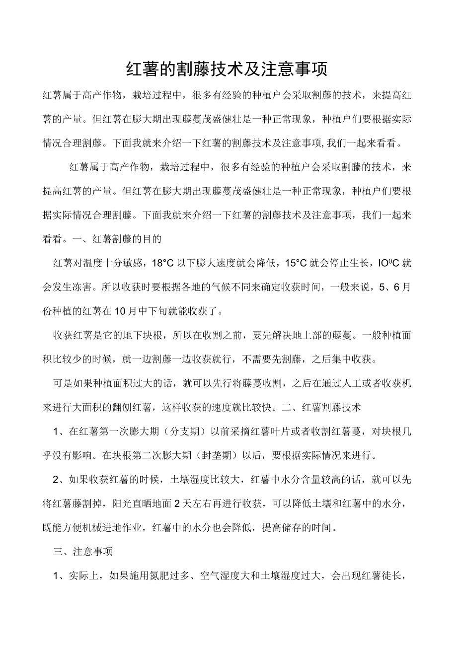 红薯的割藤技术及注意事项.docx_第1页