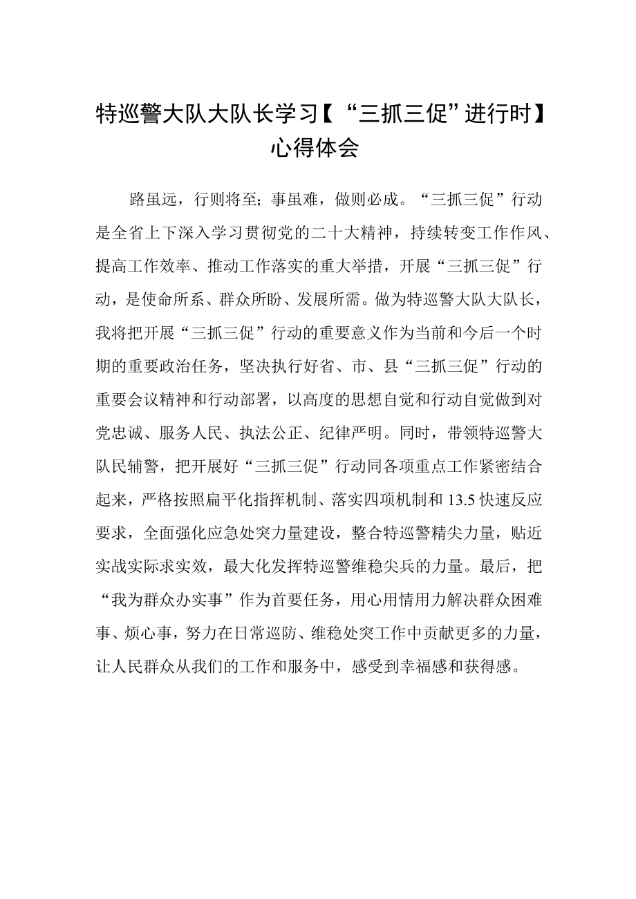 特巡警大队大队长学习三抓三促进行时心得体会.docx_第1页