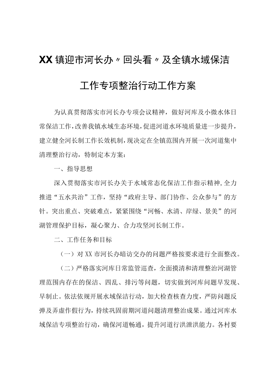 河长办回头看及全镇水域保洁工作专项整治行动工作方案.docx_第1页