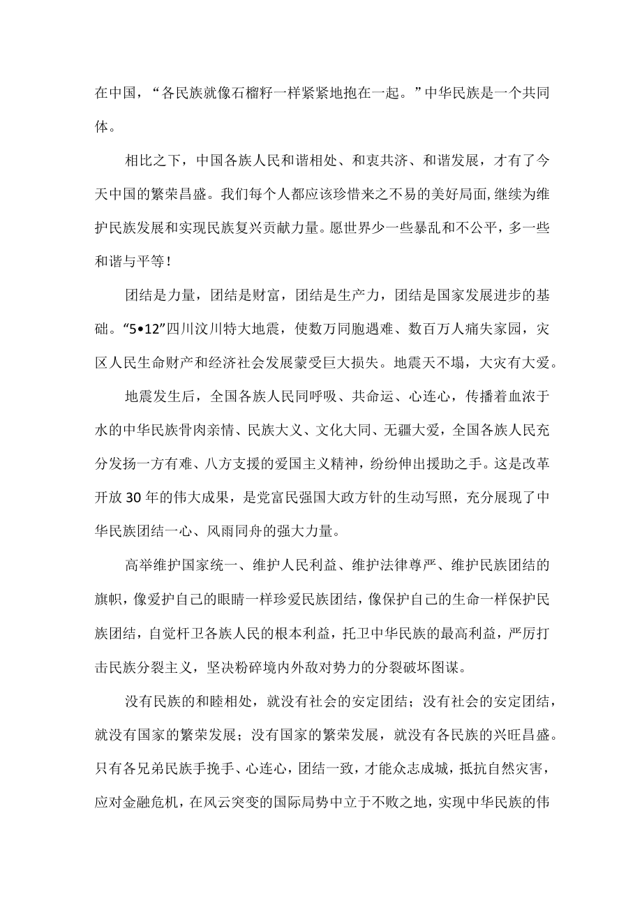 民族大团结共筑中国演讲稿.docx_第2页