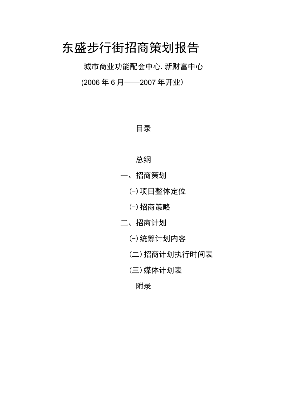 某步行街招商策划报告.docx_第2页