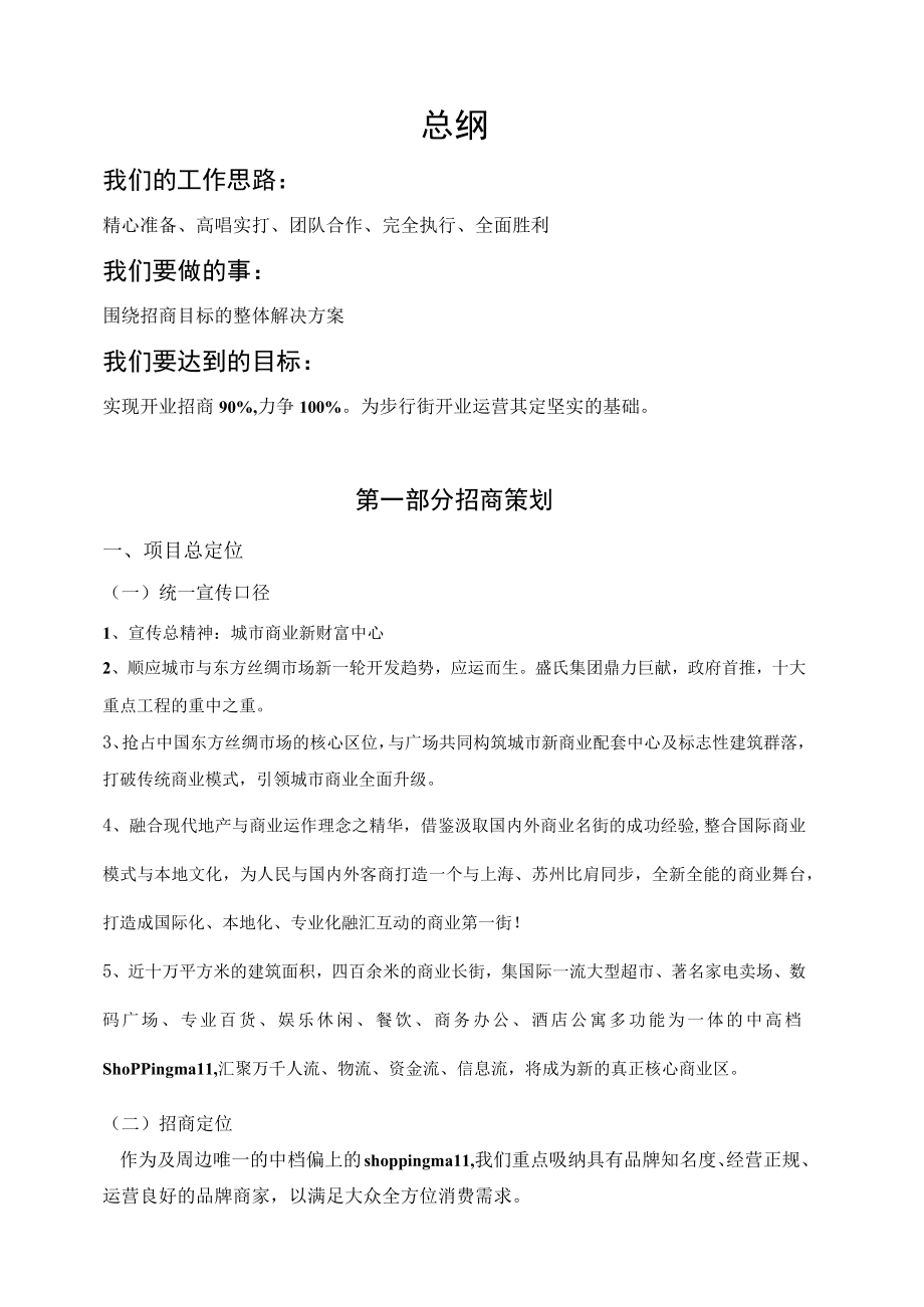 某步行街招商策划报告.docx_第3页