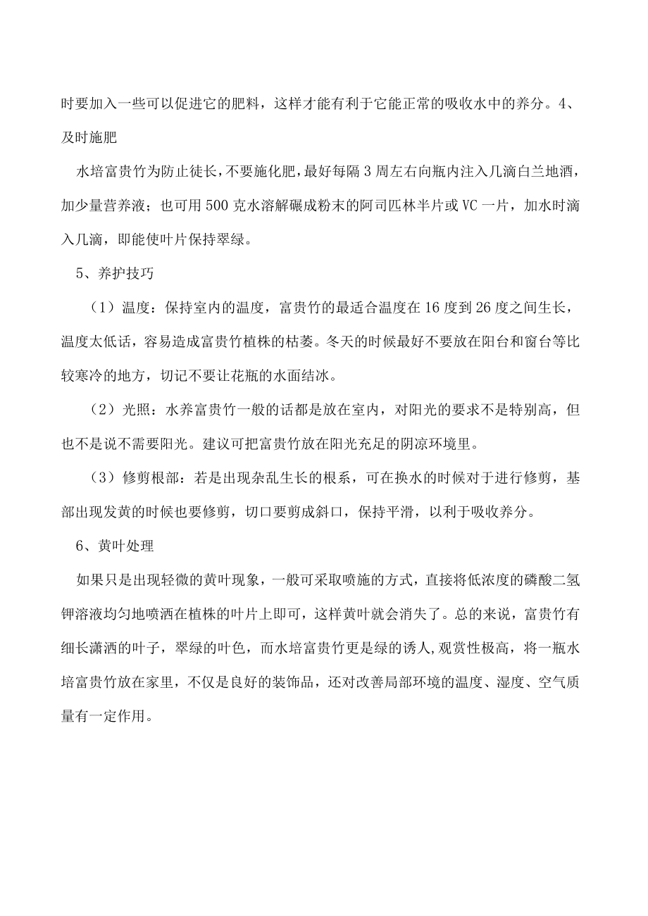 富贵竹怎么水养.docx_第2页