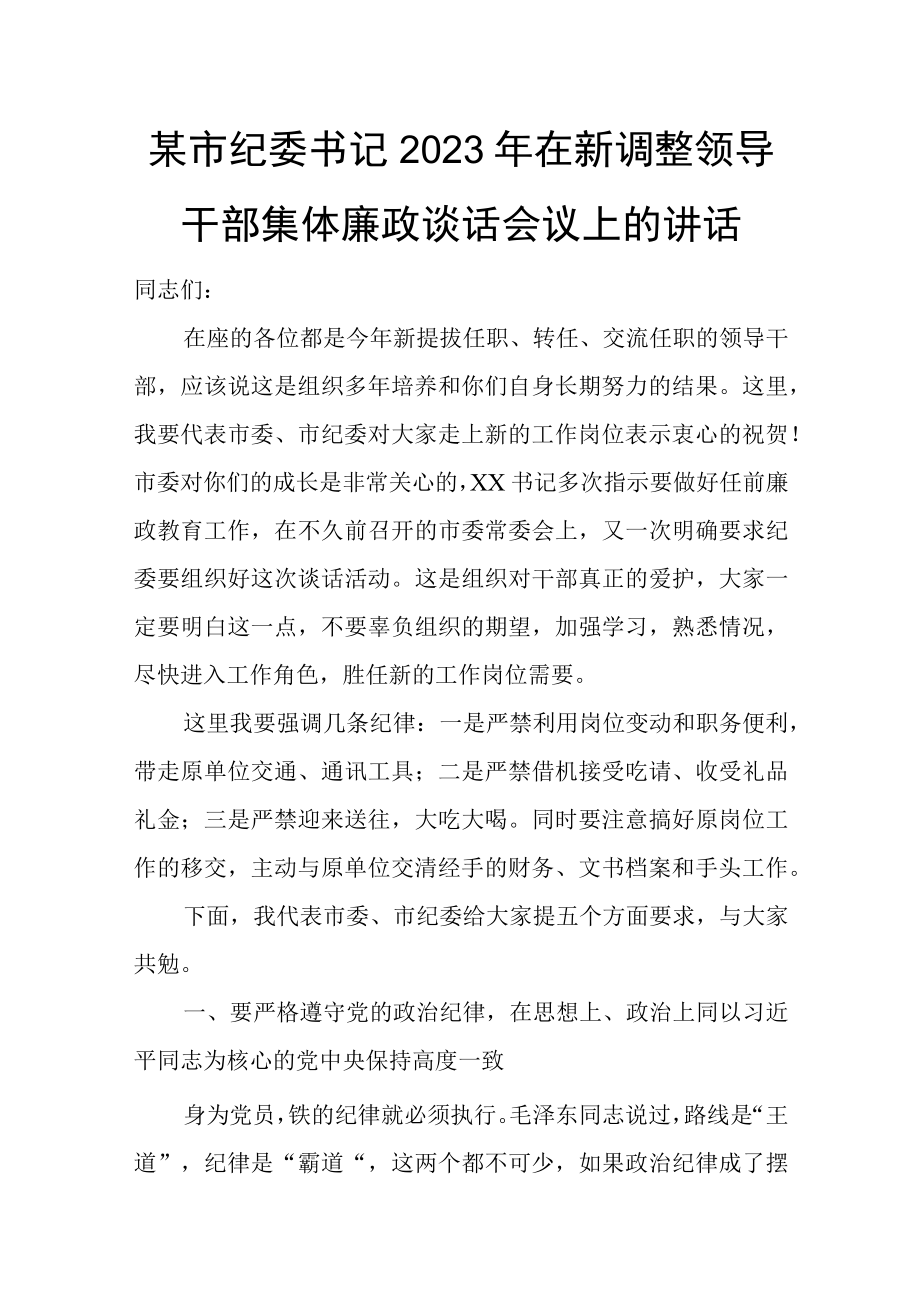 某市纪委书记2023年在新调整领导干部集体廉政谈话会议上的讲话.docx_第1页