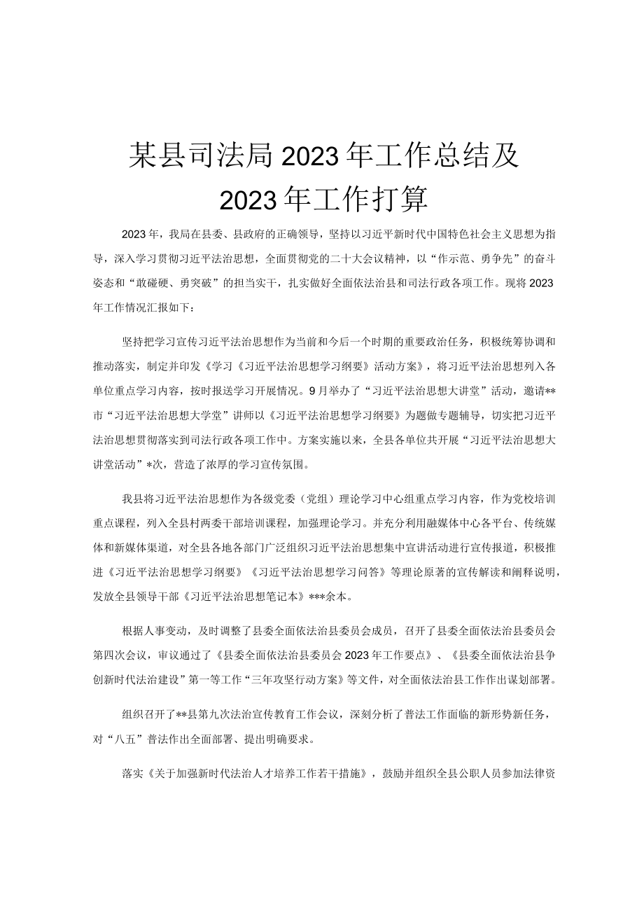 某县司法局2023年工作总结及2023年工作打算.docx_第1页