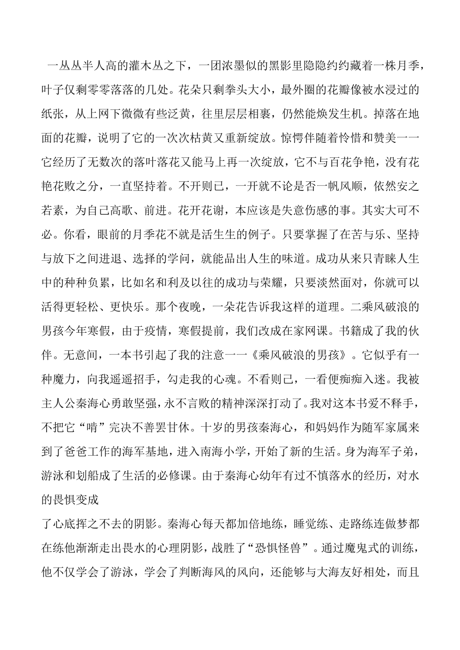 苦着坚持笑着放下——读《乘风破浪的男孩》有感.docx_第2页