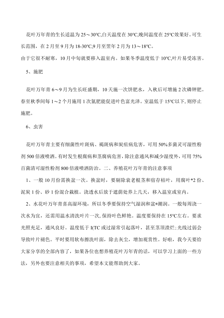 花叶万年青的养殖方法和注意事项.docx_第2页