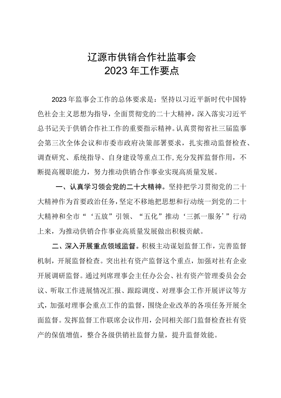 辽源市供销合作社监事会2023年工作要点.docx_第1页