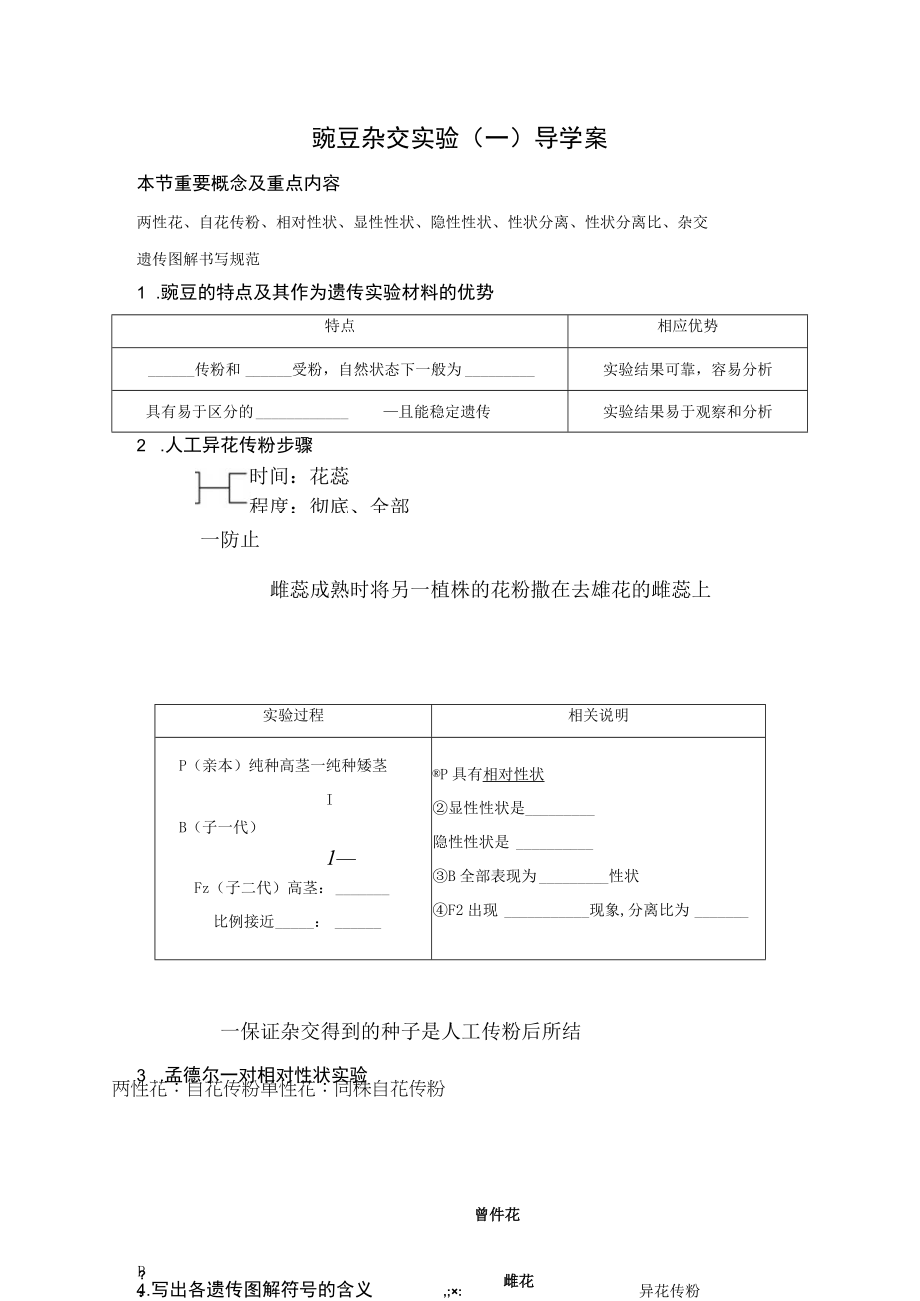 豌豆杂交实验导学案.docx_第1页