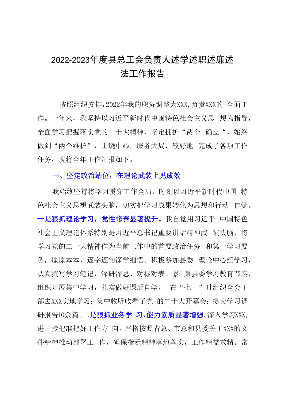 20232023年度县总工会负责人述学述职述廉述法工作报告.docx_第1页