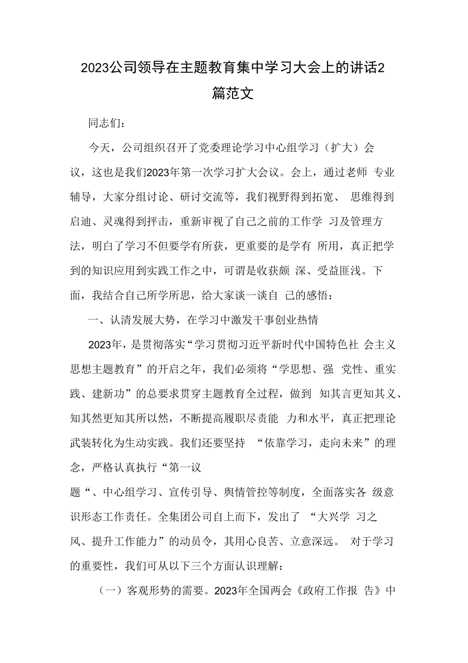 2023公司领导在主题教育集中学习大会上的讲话2篇范文.docx_第1页