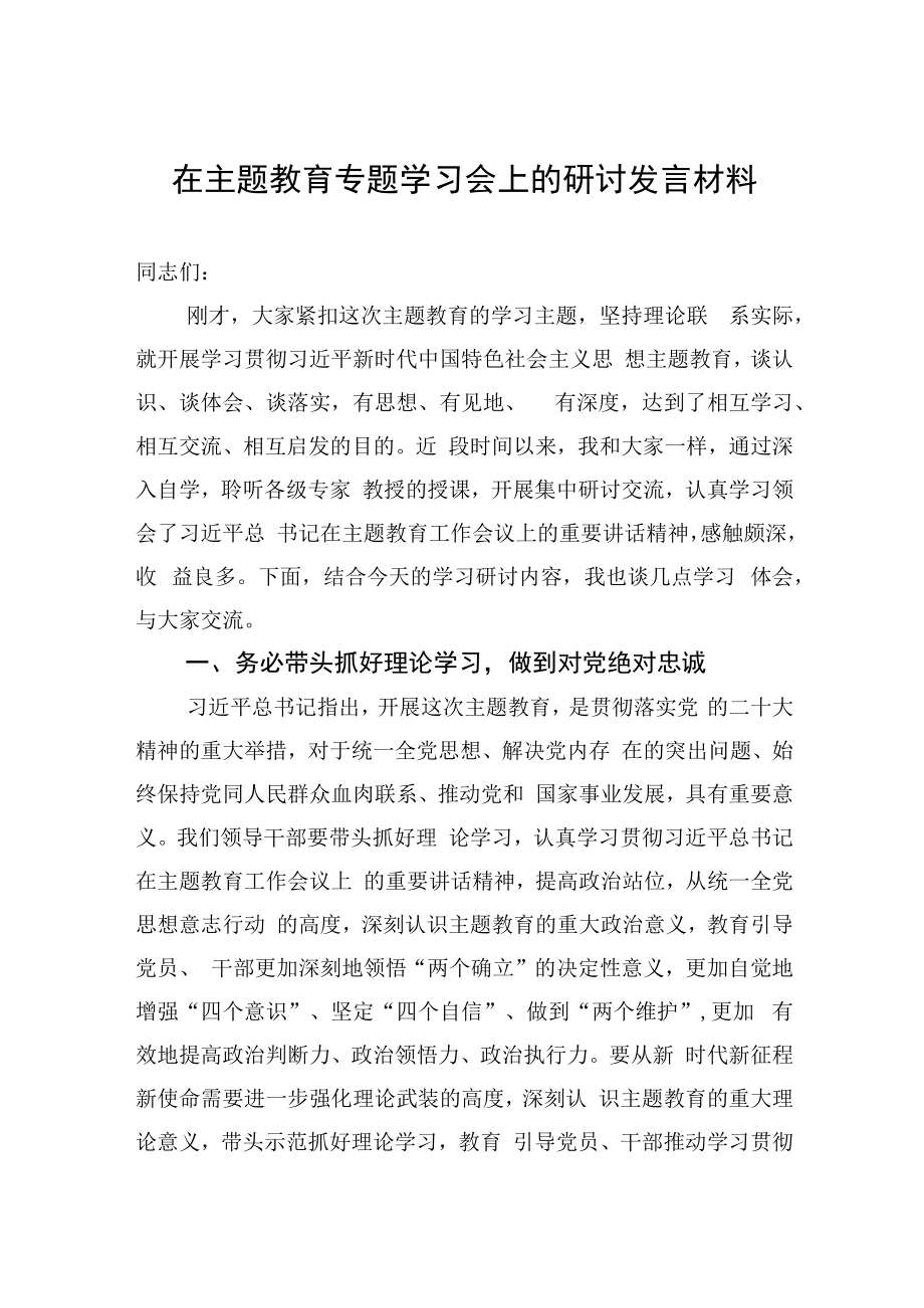 2023年在主题教育专题学习会上的研讨发言材料3篇.docx_第1页