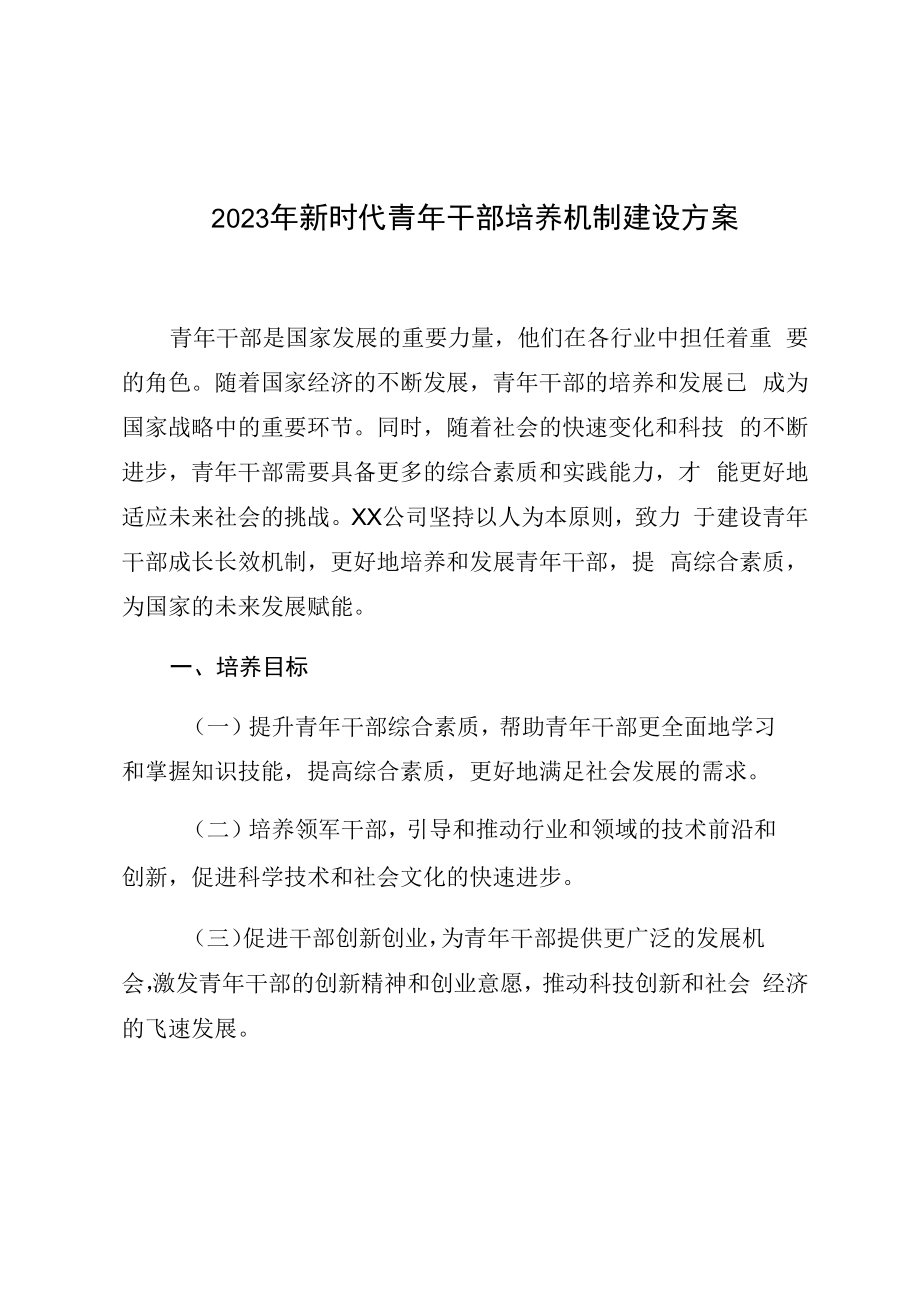 2023年新时代青年干部培养机制建设方案.docx_第1页