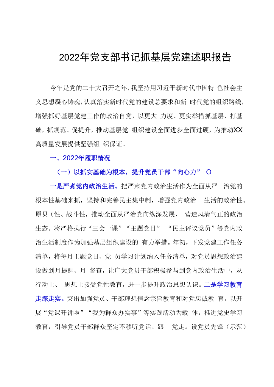 2023年党支部书记抓基层党建述职报告.docx_第1页