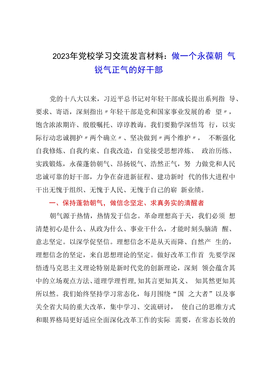 2023年党校学习交流发言材料：做一个永葆朝气锐气正气的好干部.docx_第1页