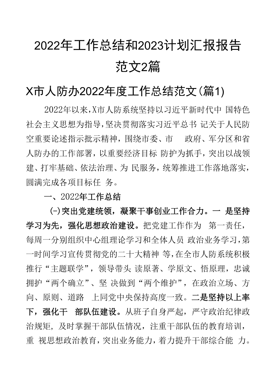 2023年工作总结和2023计划汇报报告范文2篇.docx_第1页