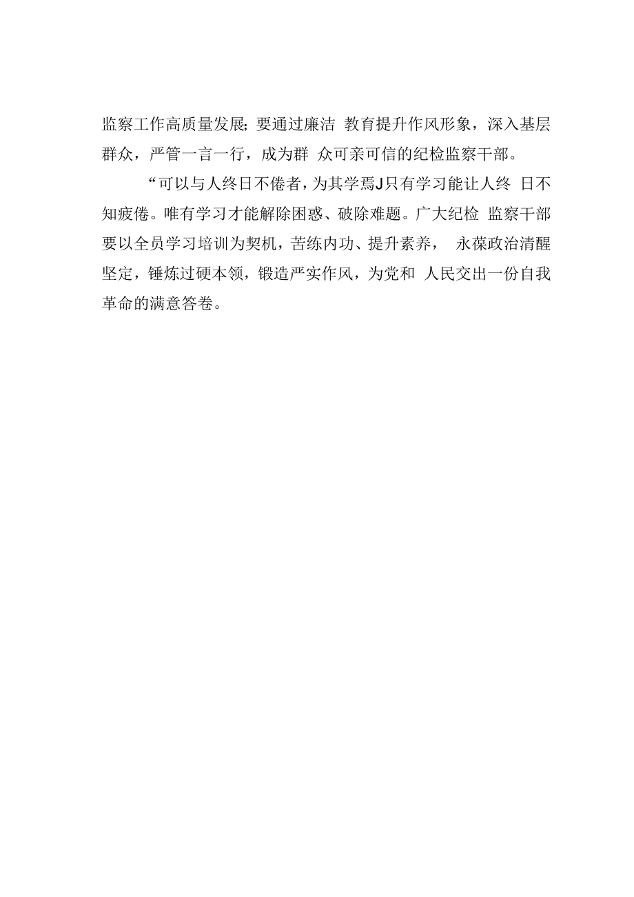 2023年纪检监察干部队伍教育整顿专题学习研讨心得体会之二.docx_第3页