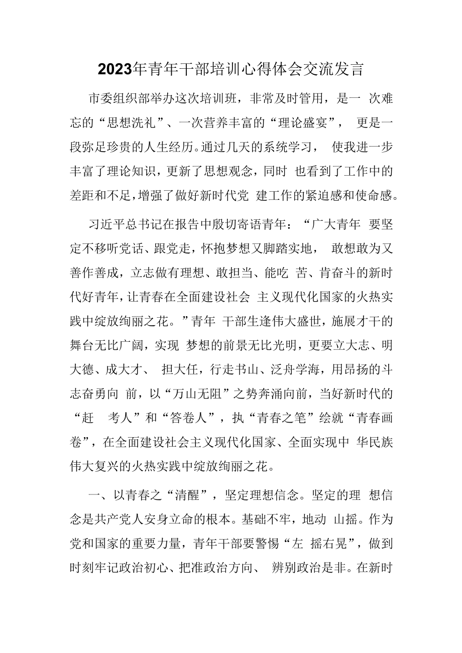 2023年青年干部培训心得体会交流发言.docx_第1页