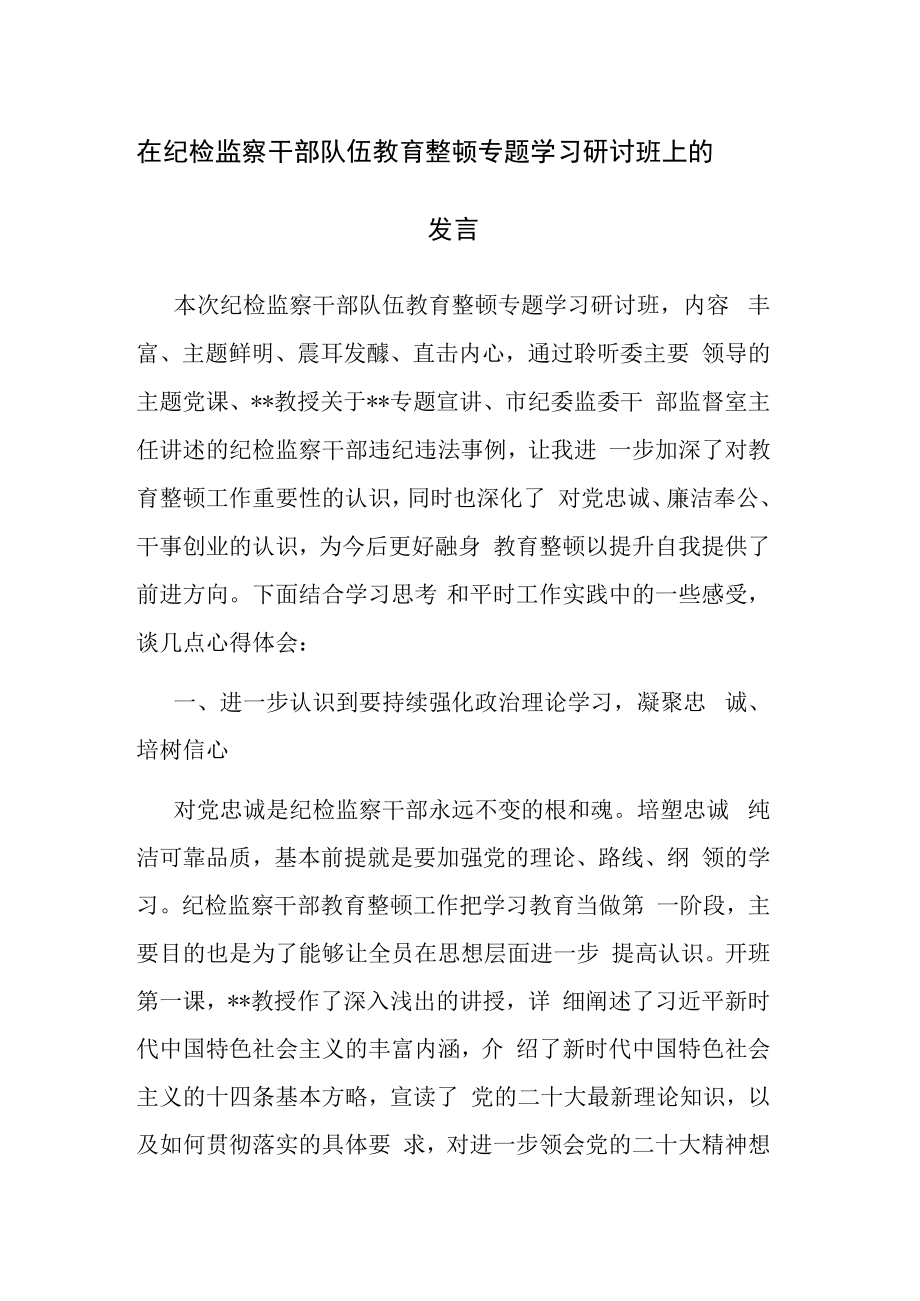 2023年纪检监察干部队伍教育整顿专题学习研讨班会上的研讨交流发言范文3篇.docx_第1页