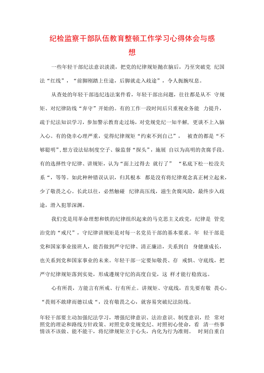 2023年纪检监察干部队伍纪律教育整顿个人学习心得三篇.docx_第1页