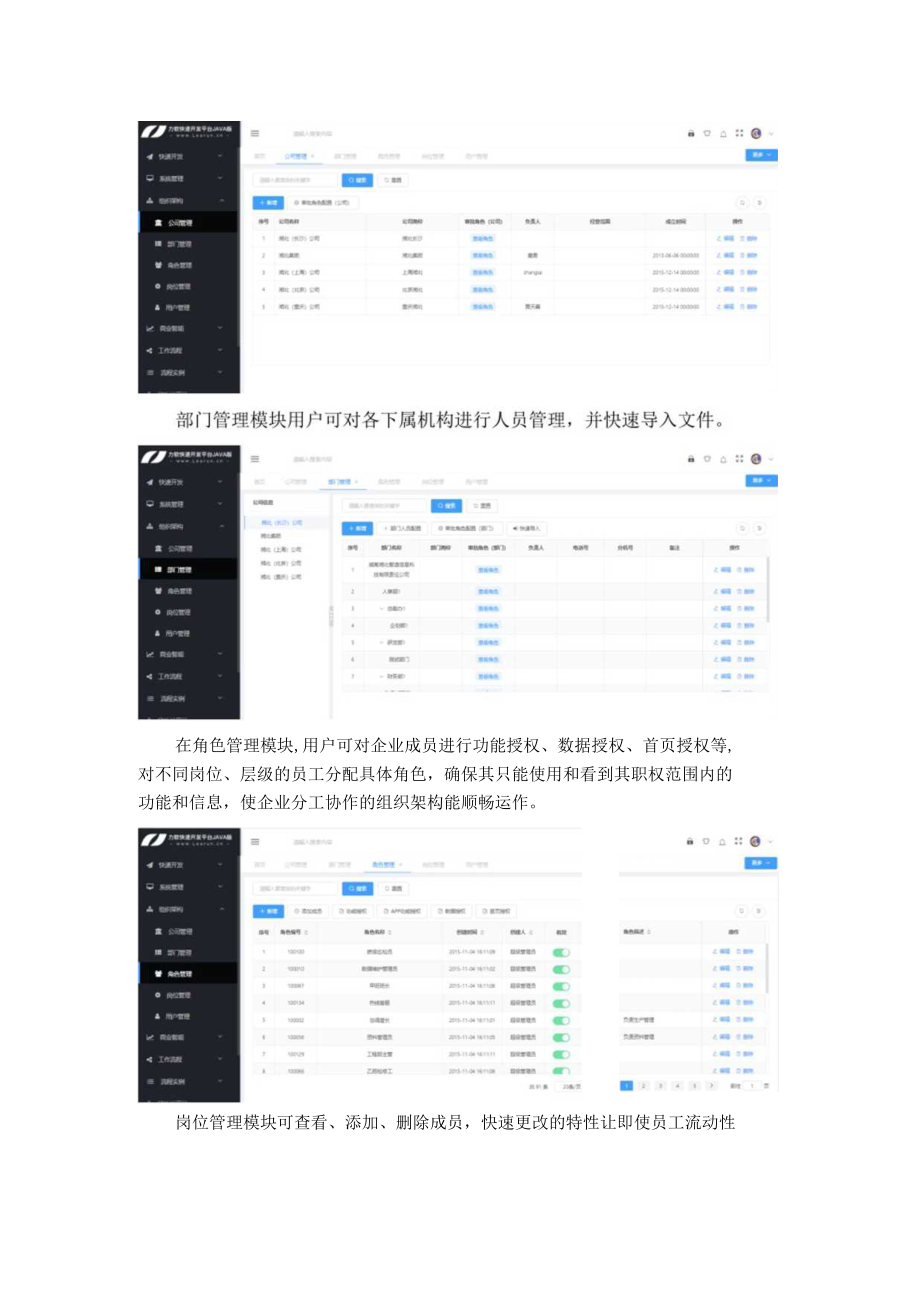 LRJava低代码自主搭建企业组织架构.docx_第2页