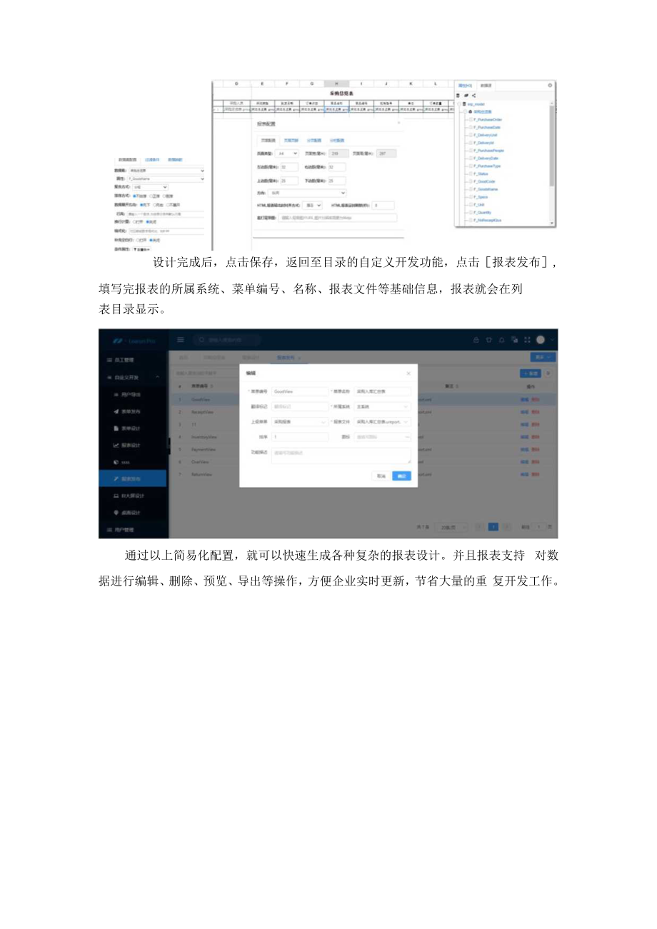 LRJAVA报表设计器快速点亮报表设计技能.docx_第2页