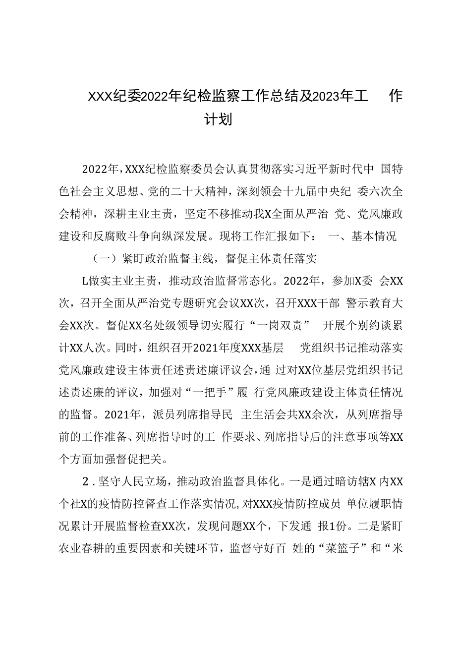 XXX纪委2023年纪检监察工作总结及2023年工作计划.docx_第1页