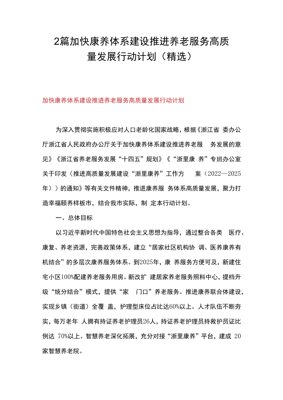 2篇加快康养体系建设推进养老服务高质量发展行动计划精选.docx_第1页