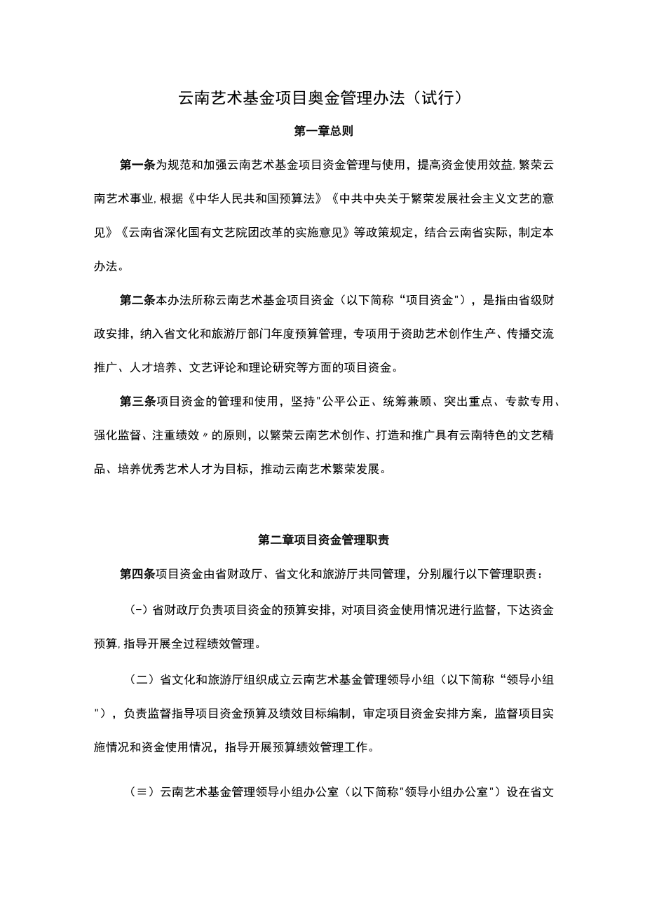 云南艺术基金项目资金管理办法试行.docx_第1页