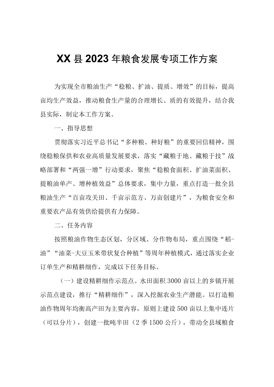 XX县2023年粮食发展专项工作方案.docx_第1页