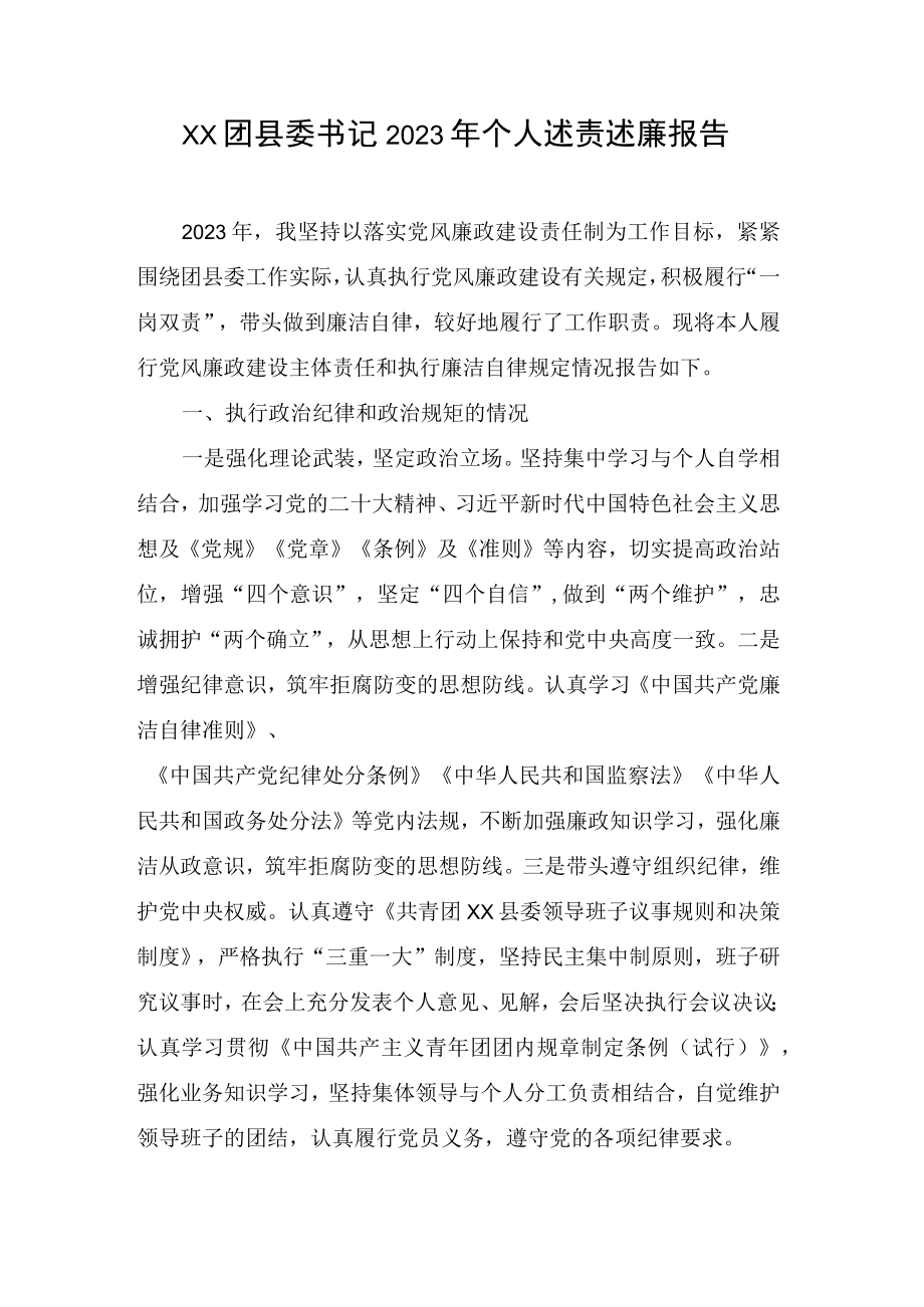 XX团县委书记2023年个人述责述廉报告.docx_第1页