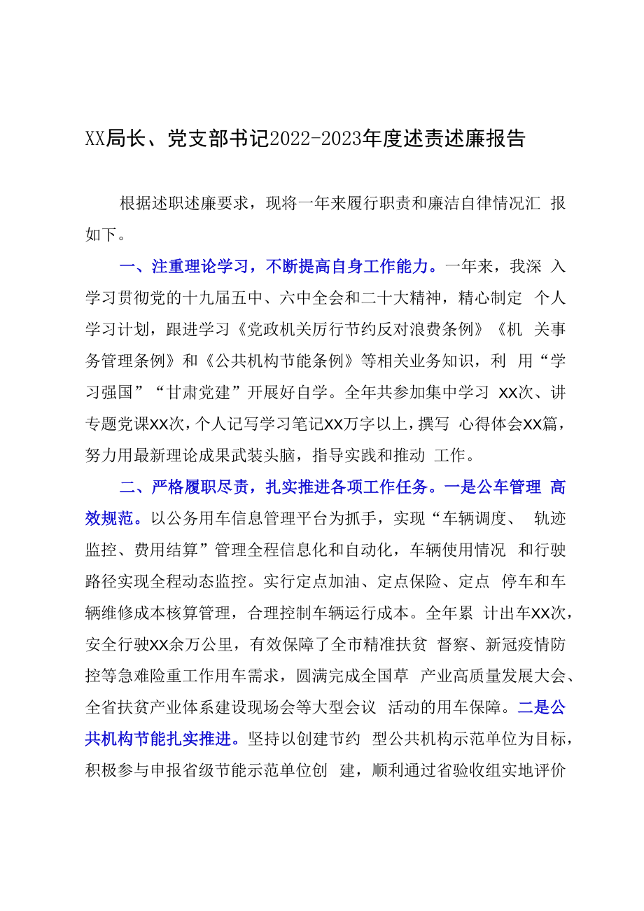 XX局长党支部书记20232023年度述责述廉报告.docx_第1页