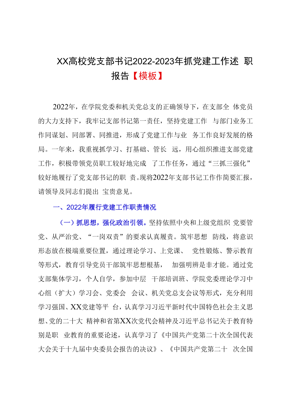 XX高校党支部书记20232023年抓党建工作述职报告模板.docx_第1页