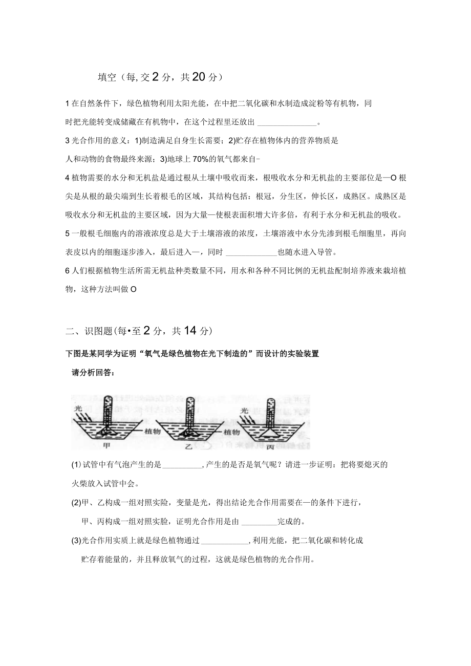 光合作用的定义：在自然条件下-绿色植物利用太阳光能-在叶绿体.docx_第3页