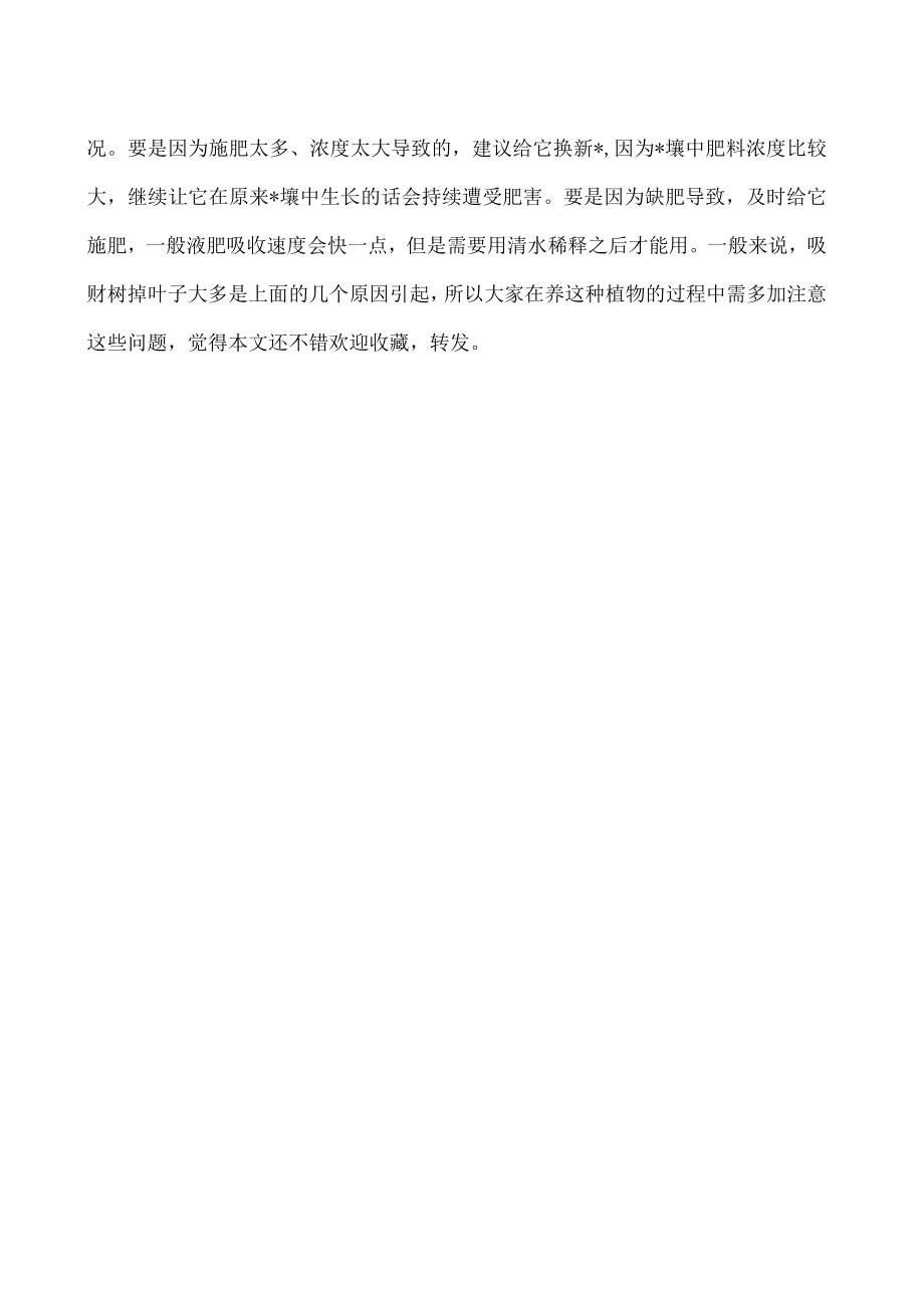 吸财树掉叶子是哪些原因引起的.docx_第2页