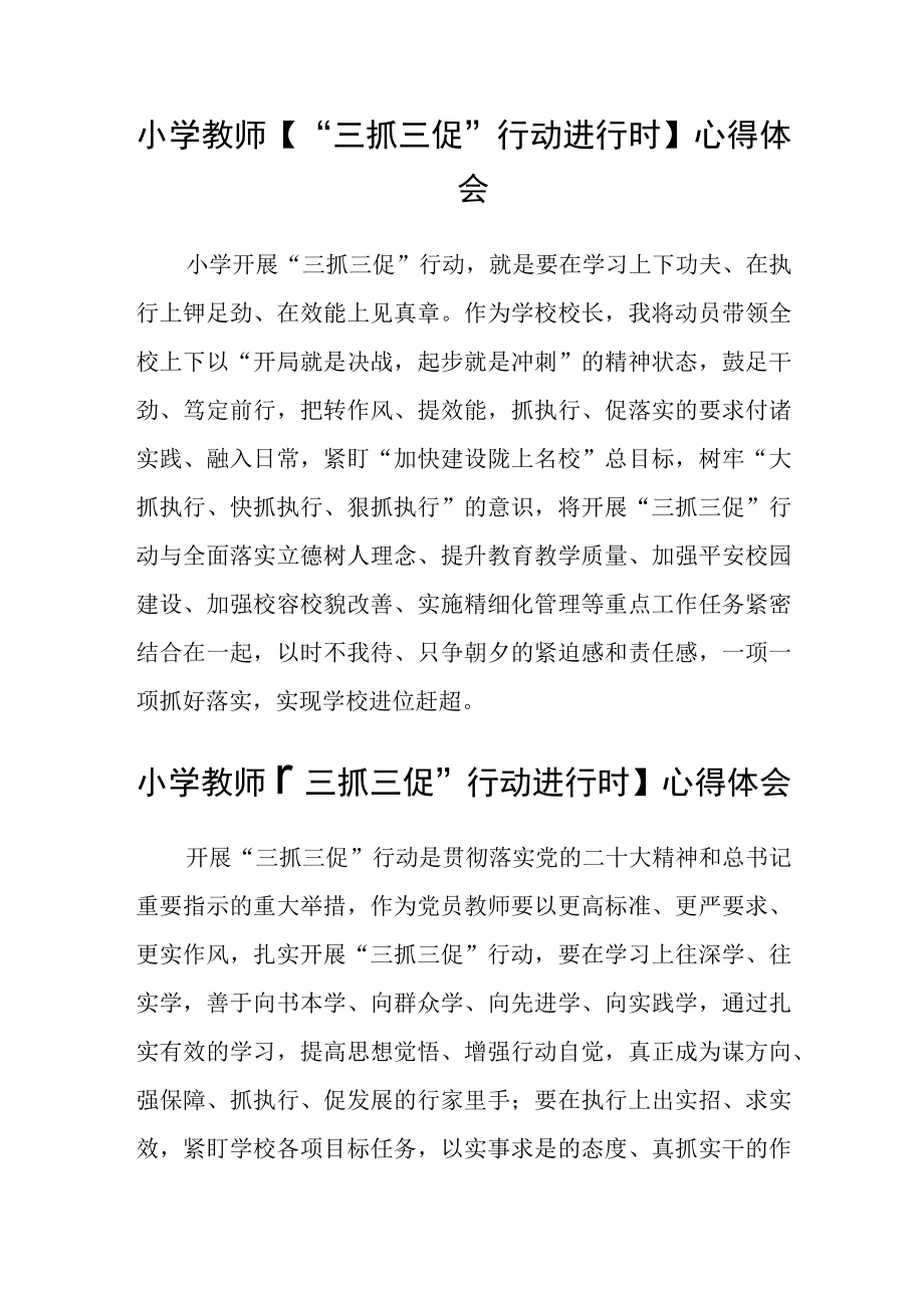 基层党员教师【“三抓三促”行动进行时】心得体会(精选三篇).docx_第2页