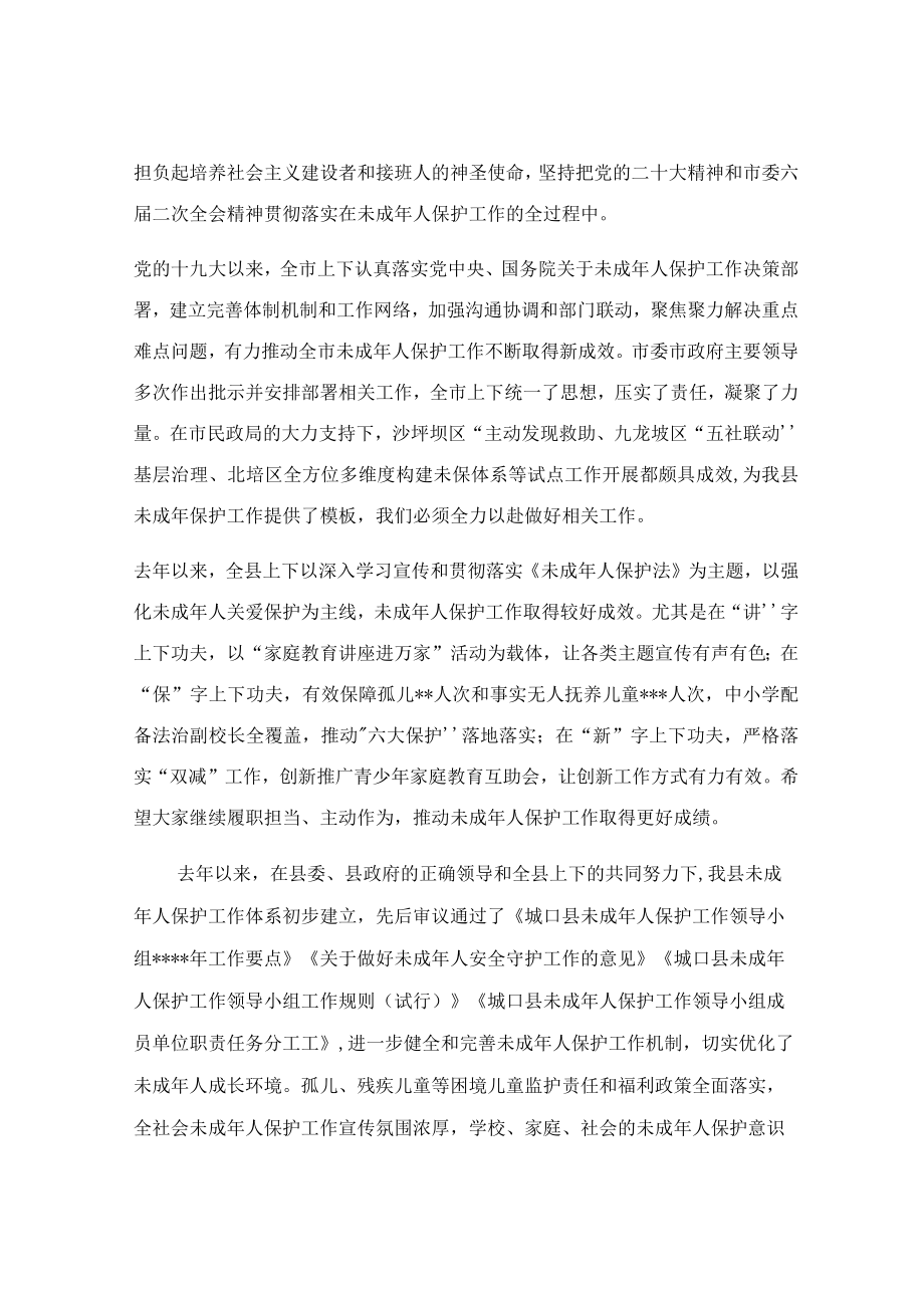 在未成年人保护工作座谈会上的讲话范文.docx_第2页