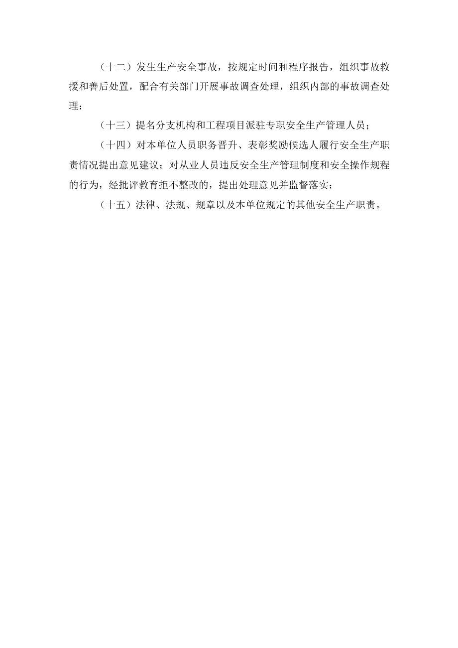 安全总监安全生产责任清单.docx_第2页