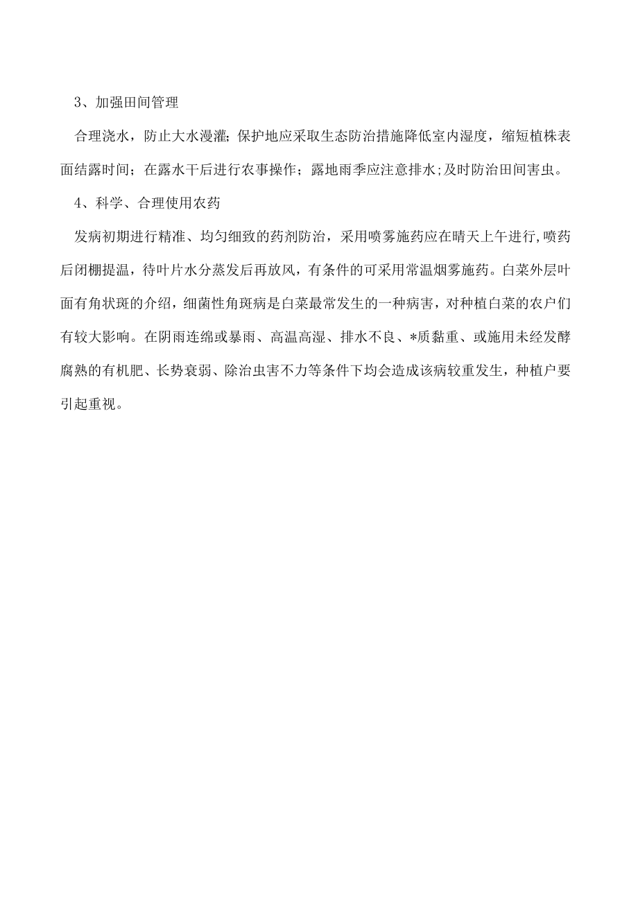 白菜外层叶面有角状斑是怎么回事如何防治.docx_第2页