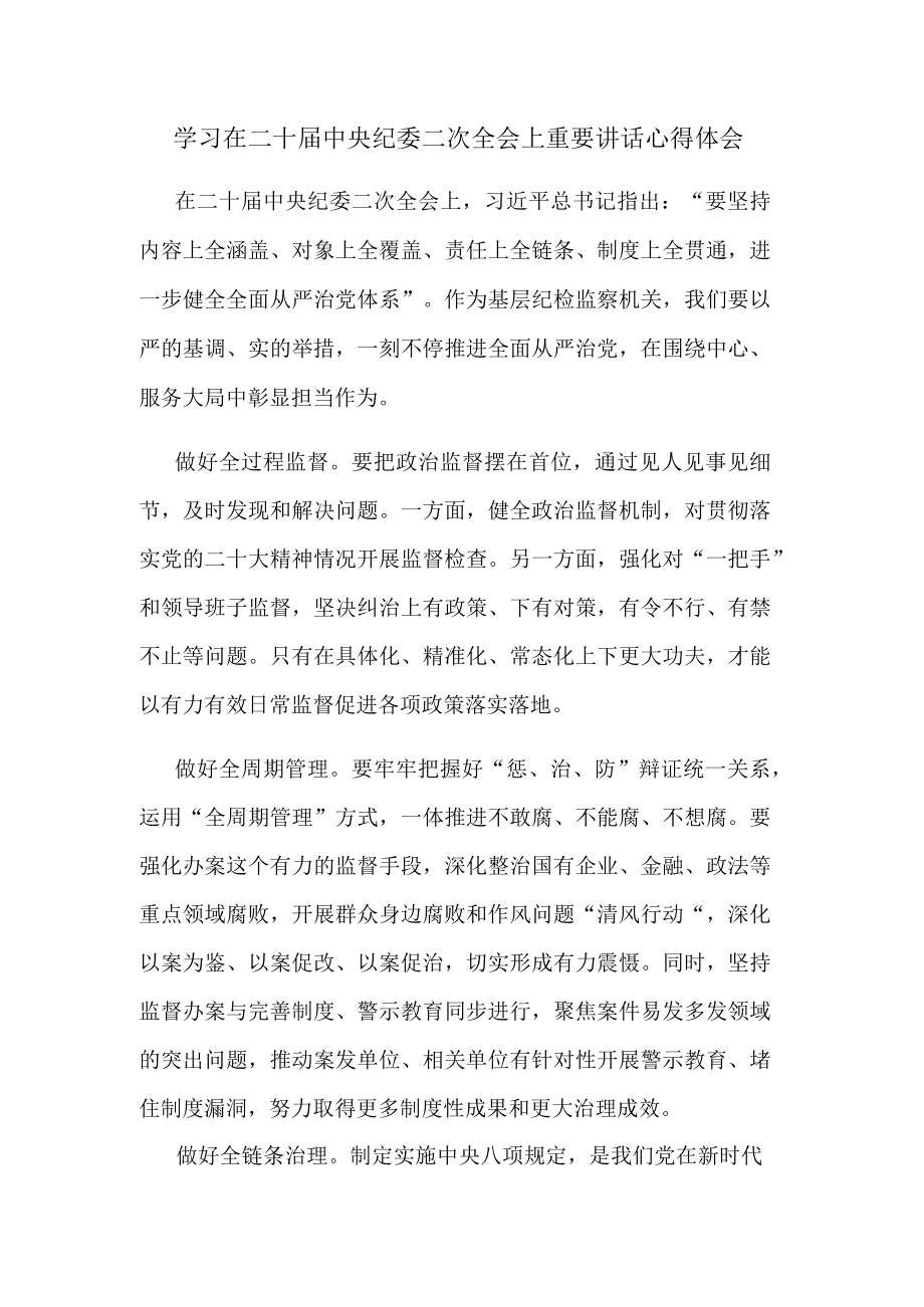 学习在二十届中央纪委二次全会上重要讲话心得体会.docx_第1页